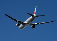 JAL 777-300 