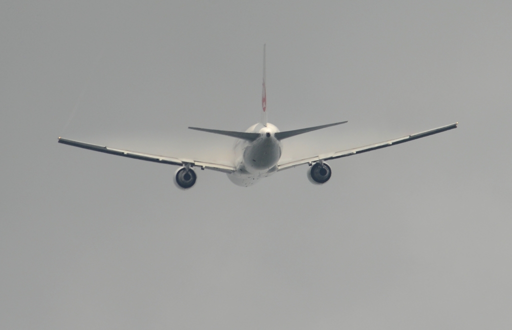 離陸（241）JAL 767-300ER ﾍﾞｲﾊﾟｰ
