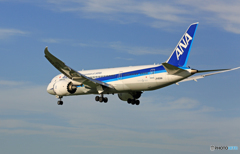 「青い空」 ANA 787-8 JA828A