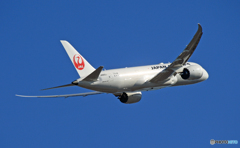  JAL 787-8 JA840J 離陸　