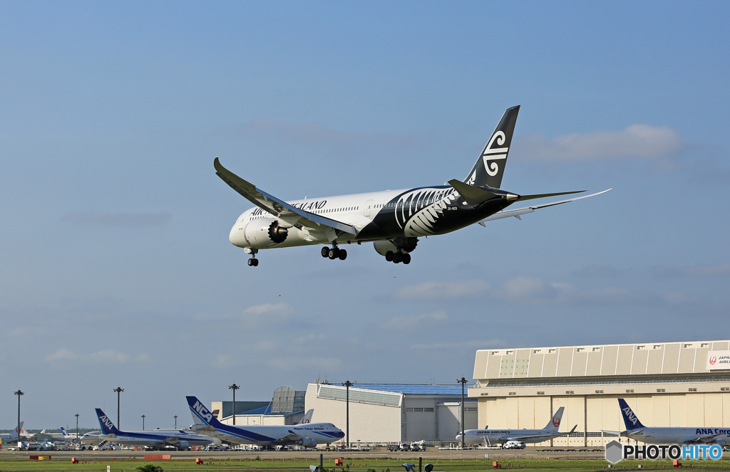 Air New Zealand B787-9 ZK-NZD 到着 
