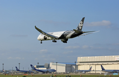 Air New Zealand B787-9 ZK-NZD 到着 