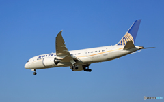 着陸 UNITED 787-8 N26910 