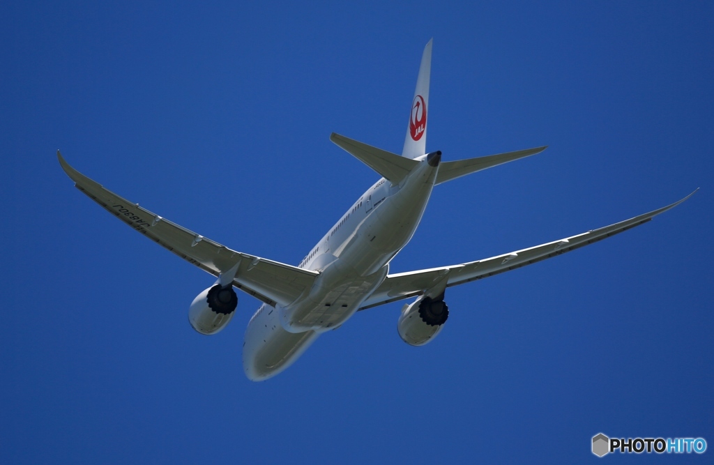 離陸　JAL 787-8