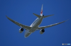 離陸　JAL 787-8
