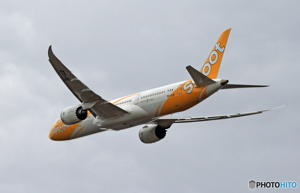 scoot 787-9 9V-OJD 離陸　