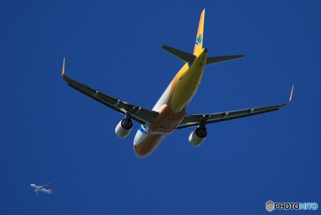 飛び立ち　CEBU A320-214+