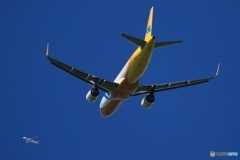 飛び立ち　CEBU A320-214+