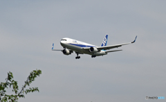 ANA 767-381 JA622A 着地前 