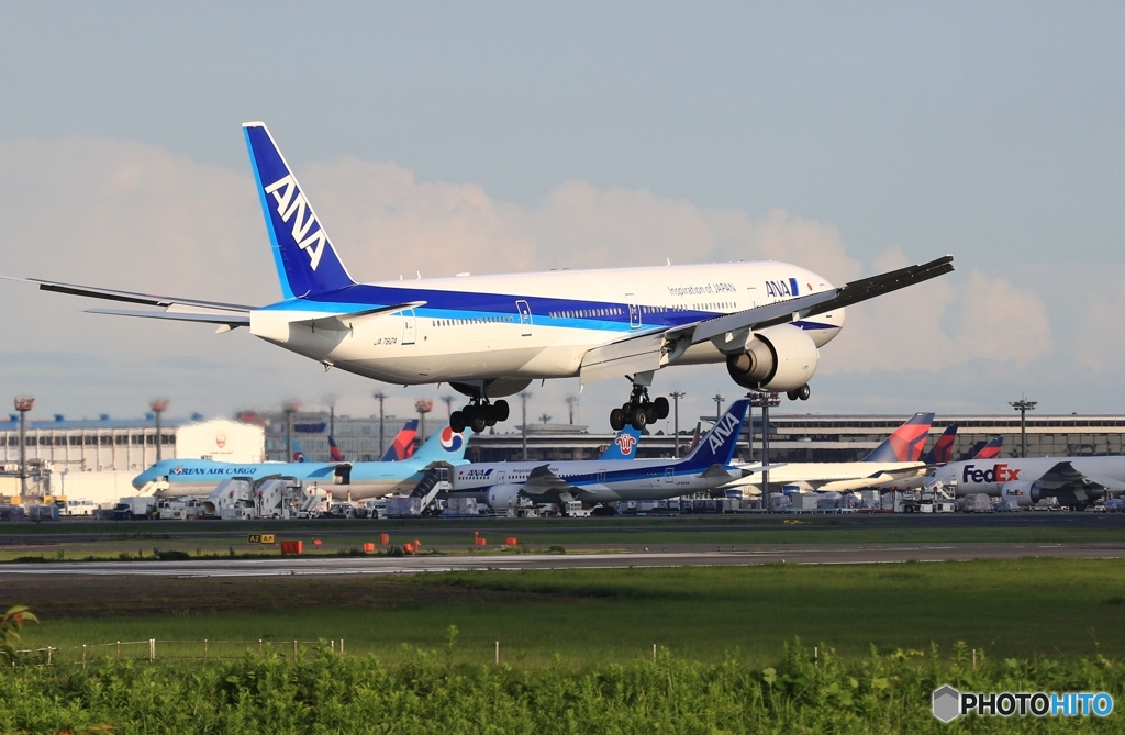 着陸　ANA 777-300