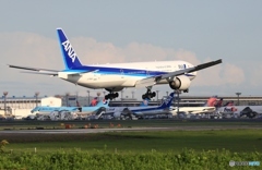 着陸　ANA 777-300
