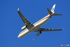 出発 ☀中国南方A330-300  B-5963 +(下)