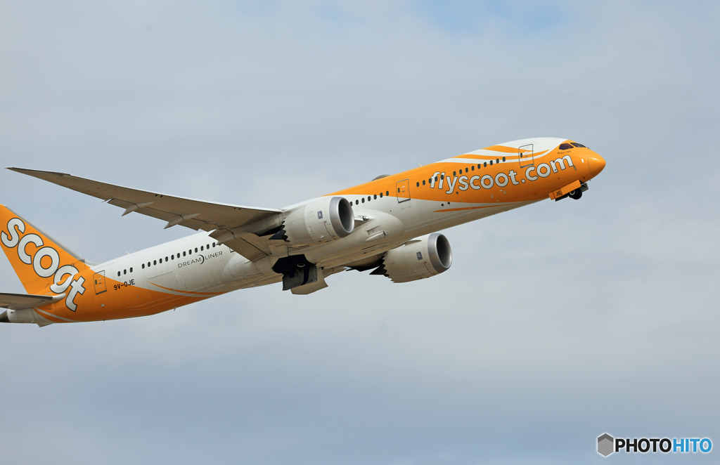 飛び立ち scoot 787-9 9V-OJE