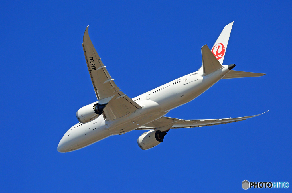 「青空」 JAL 787-8 JA839J離陸