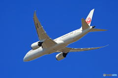 「青空」 JAL 787-8 JA839J離陸