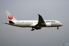 着陸　JAL 787-8