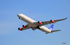 ☀SAS A340-313 OY-KBI飛び立ち