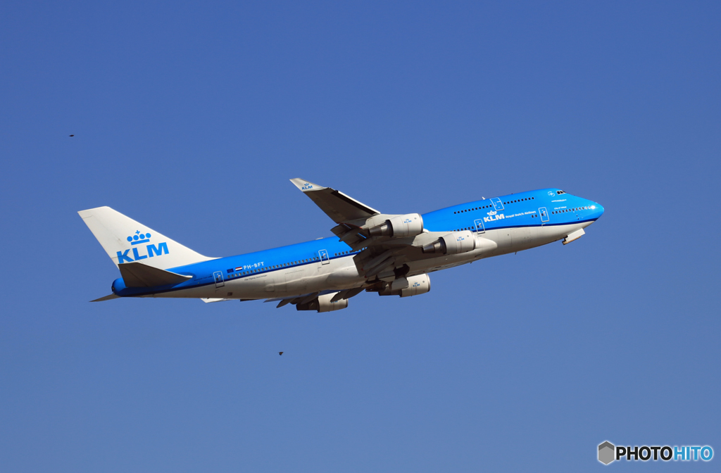 KLM B747-400 City of Tokyo PH-BFT+鳥