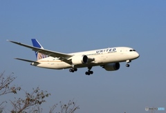United 787-8 N20904