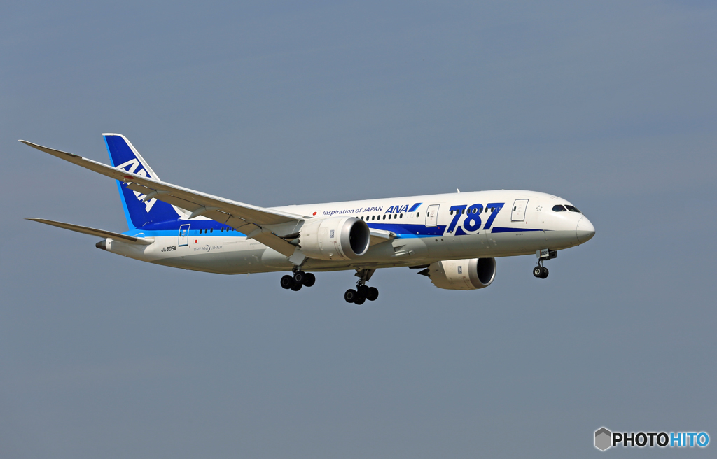「青色が好き」 ANA 787-8 JA805A 着陸