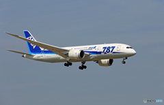 「青色が好き」 ANA 787-8 JA805A 着陸