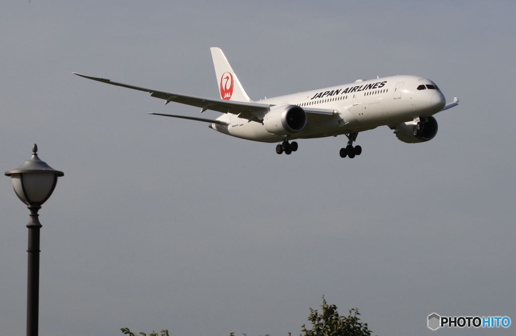 JAL 787-8 到着　