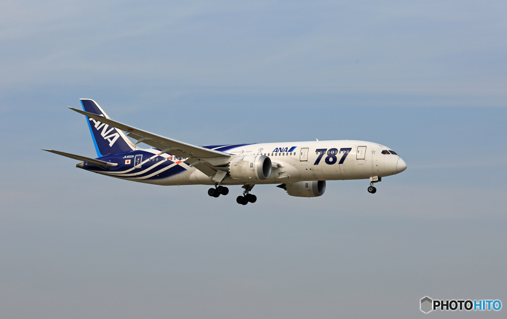 「青が大好き」 ANA 787-8 SABA-2 JA802A 到着