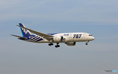 「青が大好き」 ANA 787-8 SABA-2 JA802A 到着 「青が大好き」 ANA 787-8 SABA-2 JA802A 到着