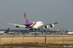 「青い空」が一番 Thai A380-841 HS-TUE着地前  「青い空」が一番 Thai A380-841 HS-TUE着地前