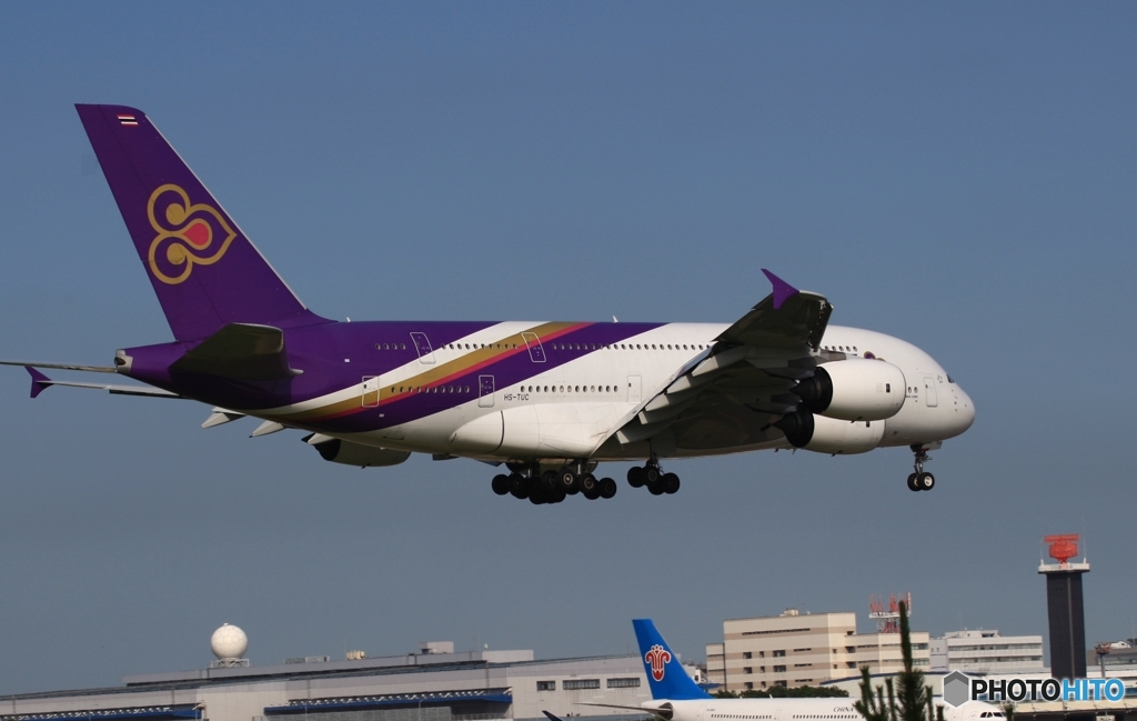 THAI A380-841 到着　
