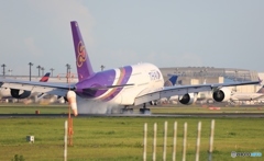 着陸　Thai A380-841 