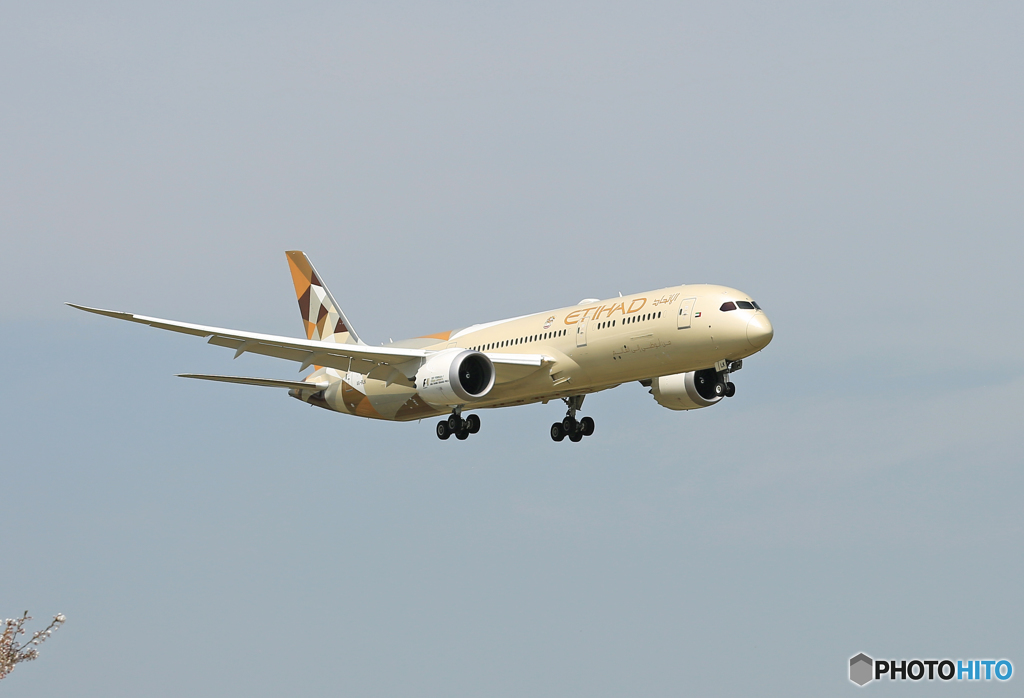 「はれー」 Etihad 787-9 A6-BLK 到着