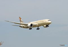 「はれー」 Etihad 787-9 A6-BLK 到着 「はれー」 Etihad 787-9 A6-BLK 到着