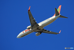 「青い空」 t'way 737-8K5 HL8232 飛行