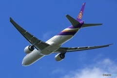 ✈THAI 777-300ER HS-TKP 