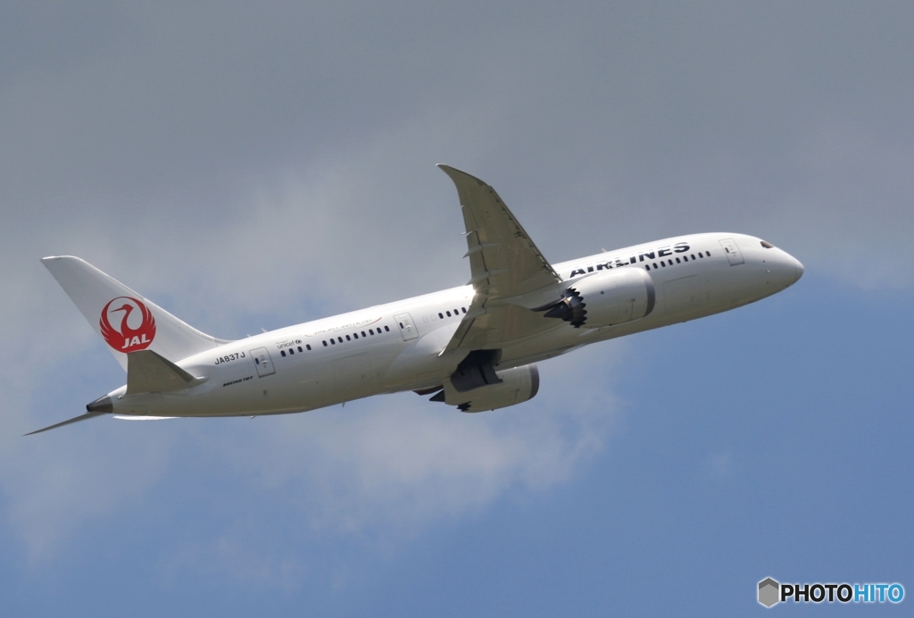出発　JAL 787-8
