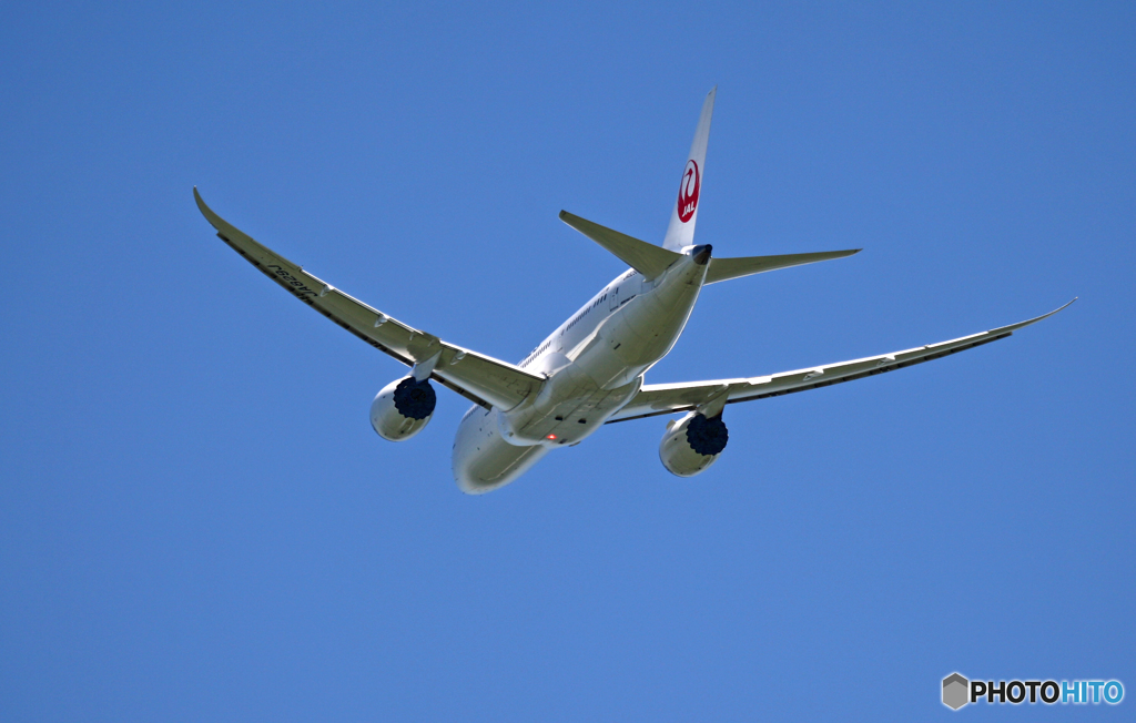 JAL 787-8 JA829J 飛び立ち 
