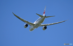 JAL 787-8 JA829J 飛び立ち 