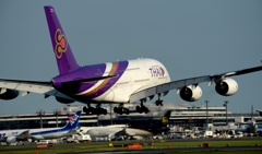 着陸（35-3）Thai  Airbus A380-841 [c]