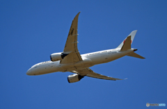 出発 JAL 787-8 JA841J