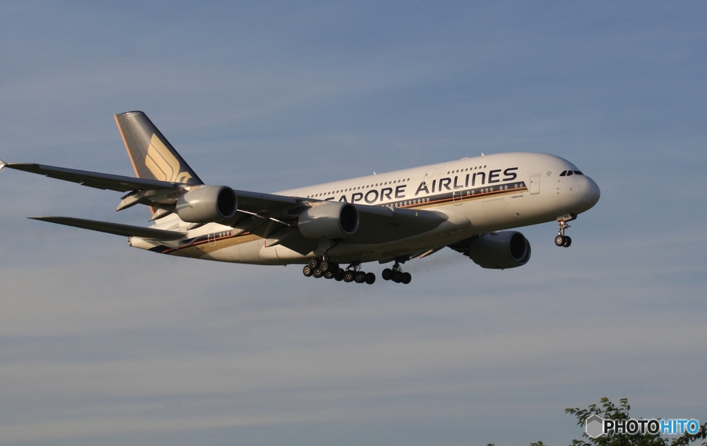 着陸　SINGAPORE A380-841
