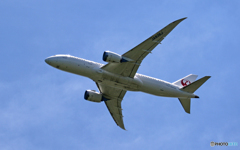 飛び立ち JAL 787-8 JA836J