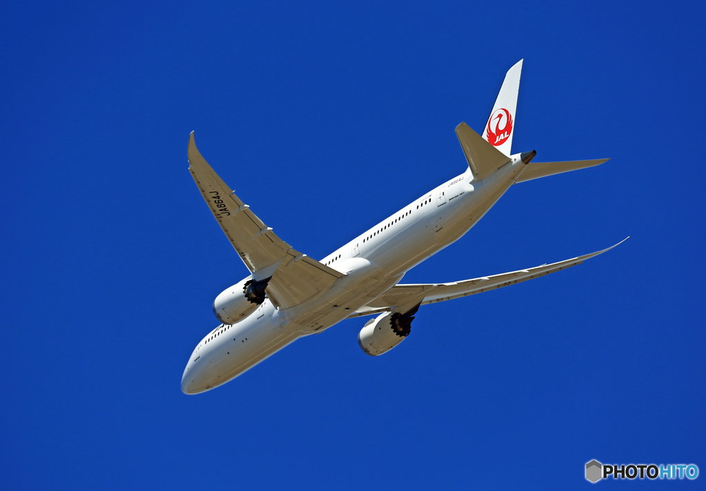 「青空」 JAL 787-9 JA864J離陸