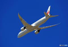 「青空」 JAL 787-9 JA864J離陸