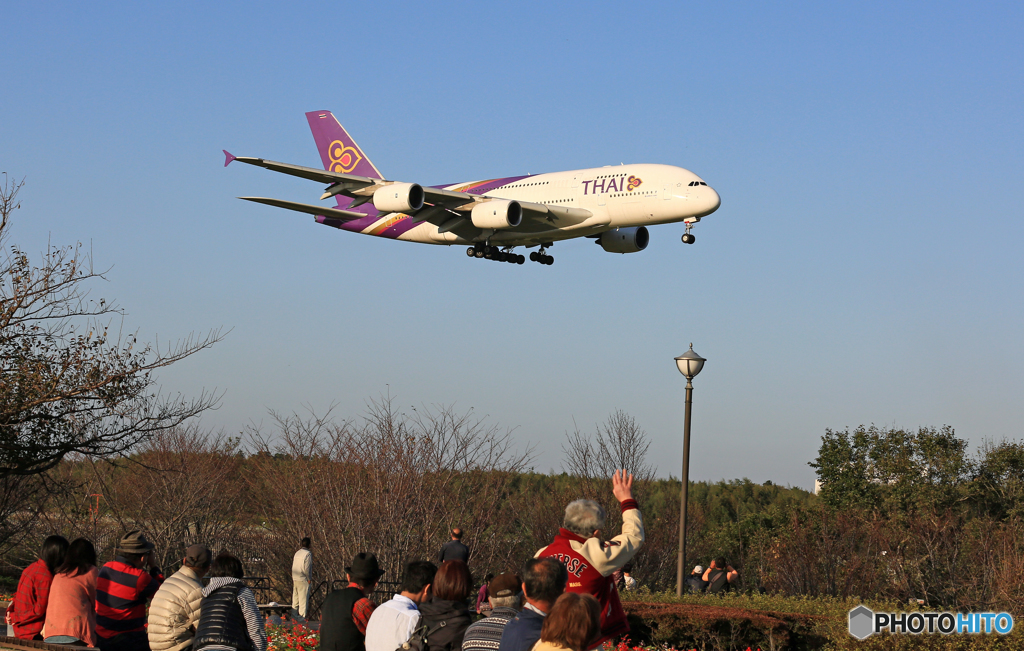 到着THAI A380-841 HS-TUA やぁ～！