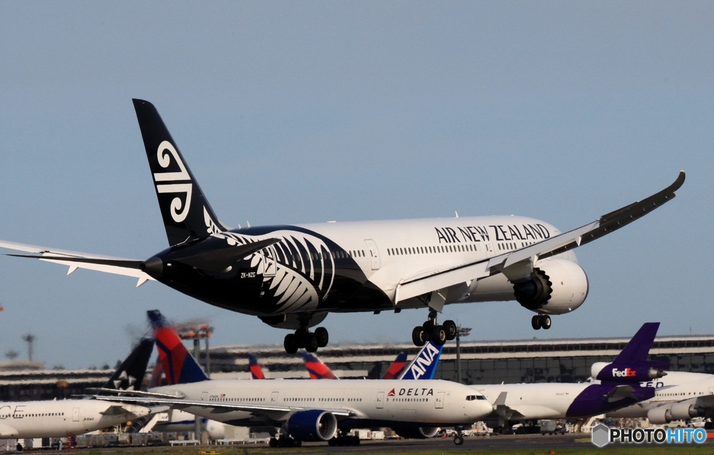 到着　Air New Zealand 787-9 