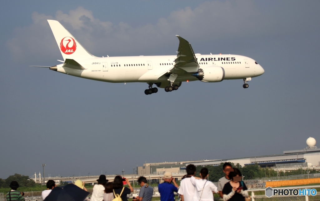 JAL 787-8 到着　
