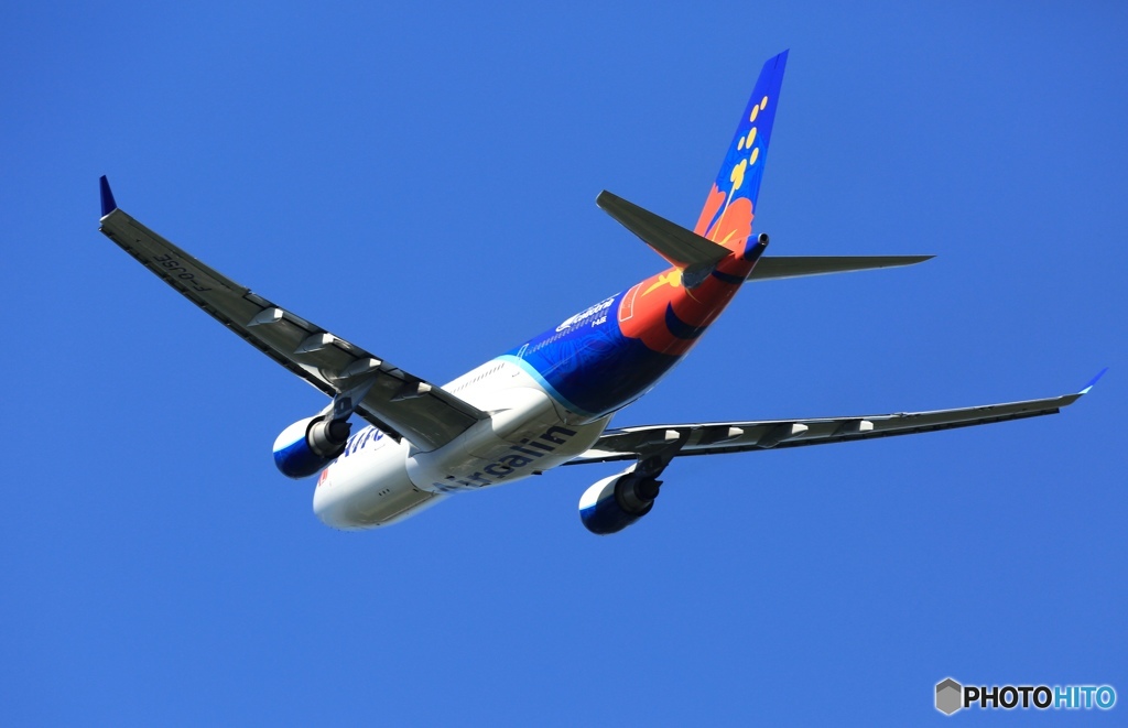 Air Calin A330-202 F-OJSE 出発 