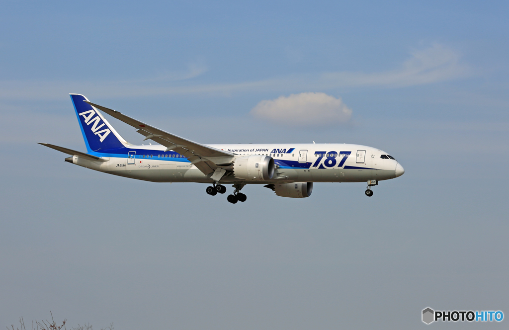 「すかい」 ANA 787-8 JA813A 着陸