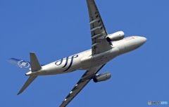 中国東方A330-243 B-5908 離陸 